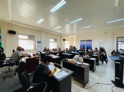 vice mayor paranaque 2024|REGULAR SESSION of the 9th Sangguniang Panlungsod of the .